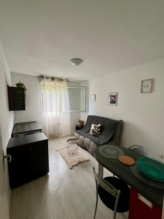 un salon avec un canapé et une table dans l'établissement Location studio Aix-en-Provence, à Aix-en-Provence