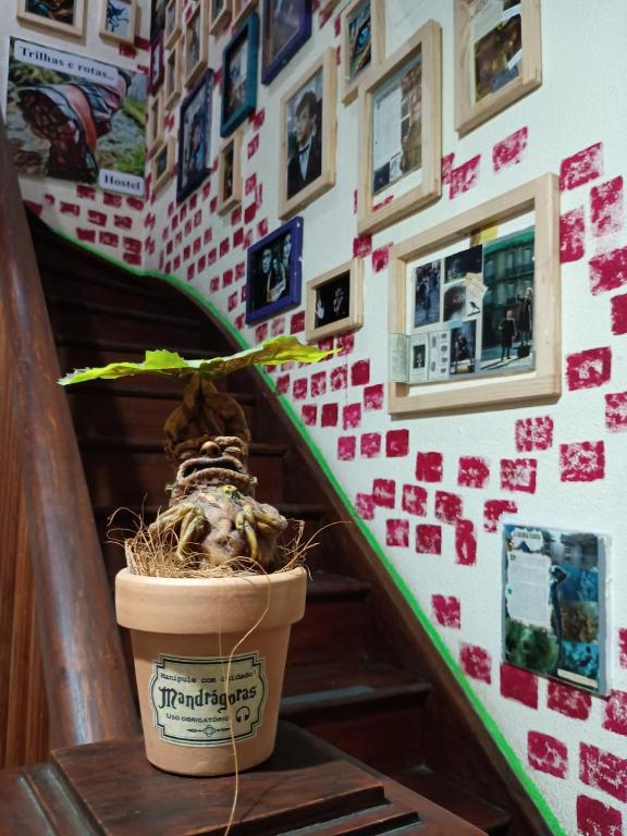 Fotografie z fotogalerie ubytování Hostel Trilhas e Rotas - a 150m da Avenida Paulista v Sao Paulu