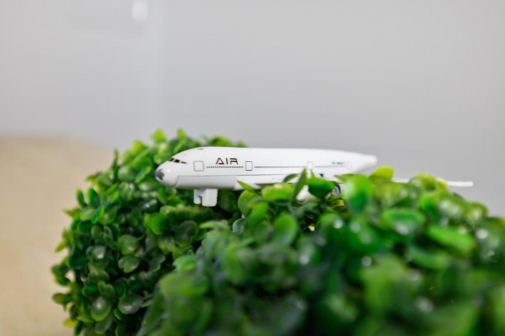 Apartments Stars - 12