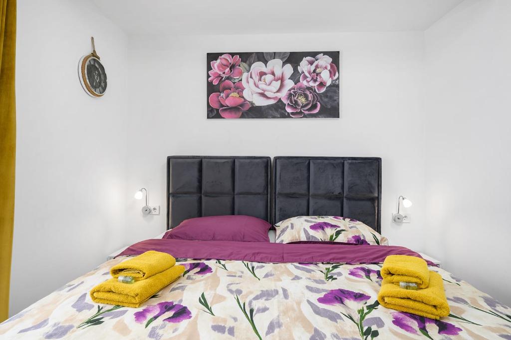 Apartments Stars - 16