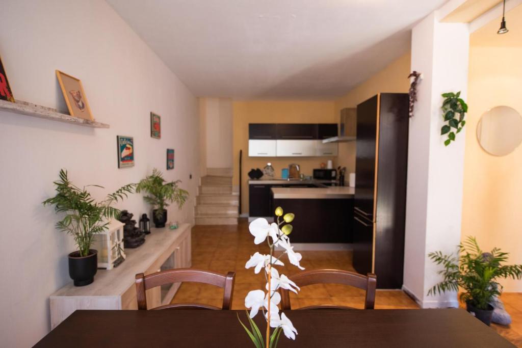 Kuchyň nebo kuchyňský kout v ubytování GardenHouse - Wifi and Garden