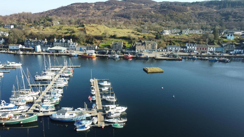 a bunch of boats are docked in a harbor at The waterfront in Tarbert