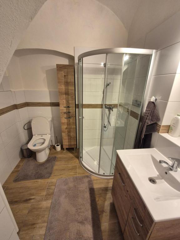 Koupelna v ubytování Apartmá Na palírně