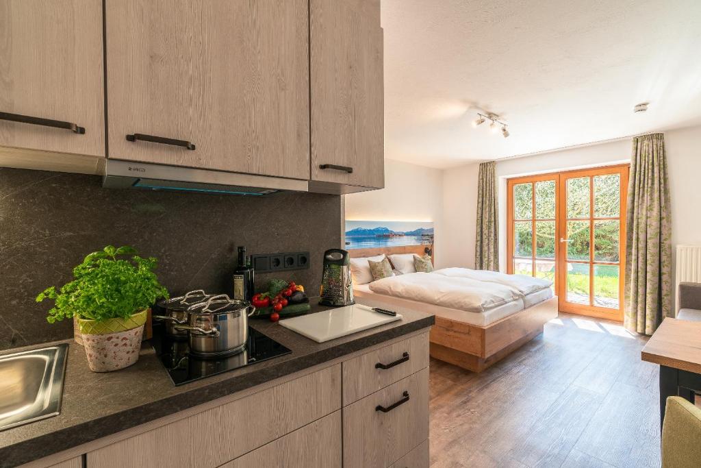 Kuchyň nebo kuchyňský kout v ubytování Gäste- und Apartmenthaus Wiesholler