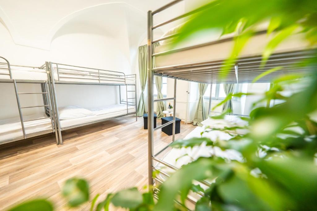 Postel nebo postele na pokoji v ubytování Hostel Králíkárna