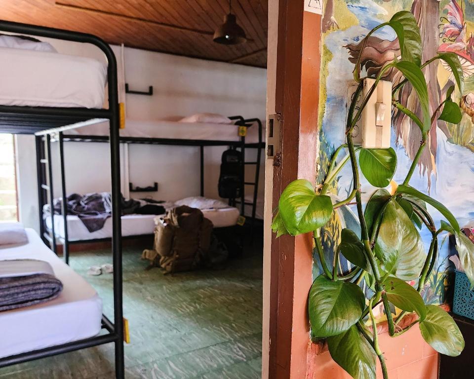 Postel nebo postele na pokoji v ubytování CASA KAYAM Art Hostel Coliving Coworking