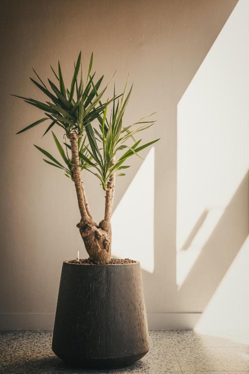 ibis Styles Brugge Centrum - Resim 43