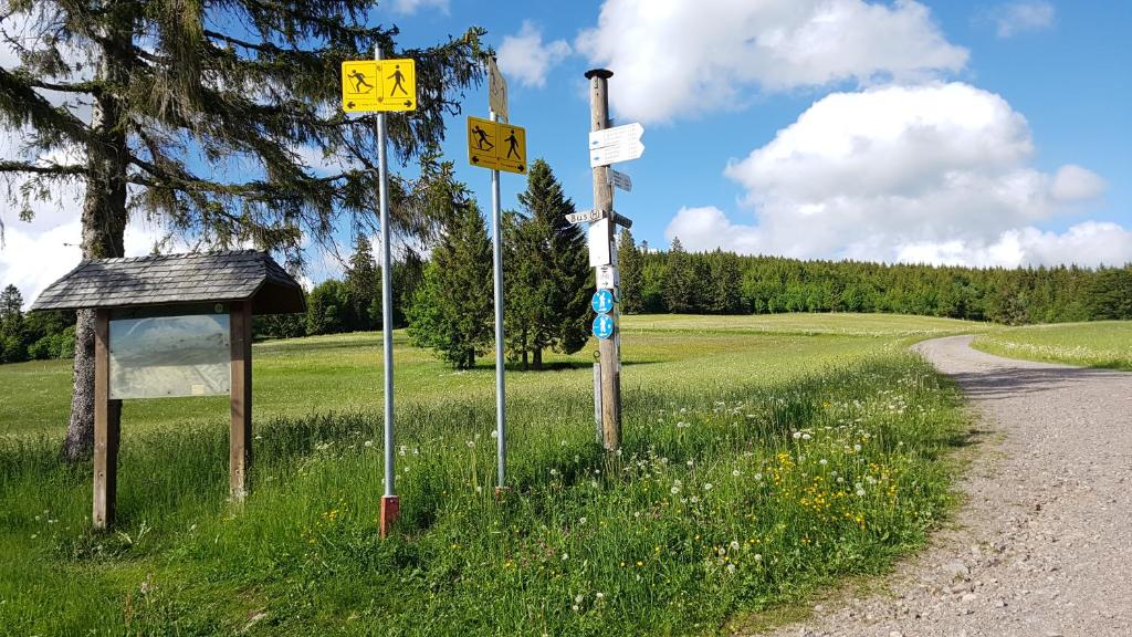 Příroda nedaleko penzionu