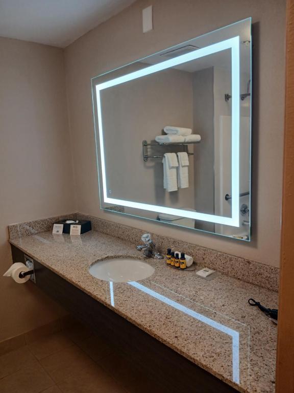 Best Western Plus Bradenton Hotel & Suites photo