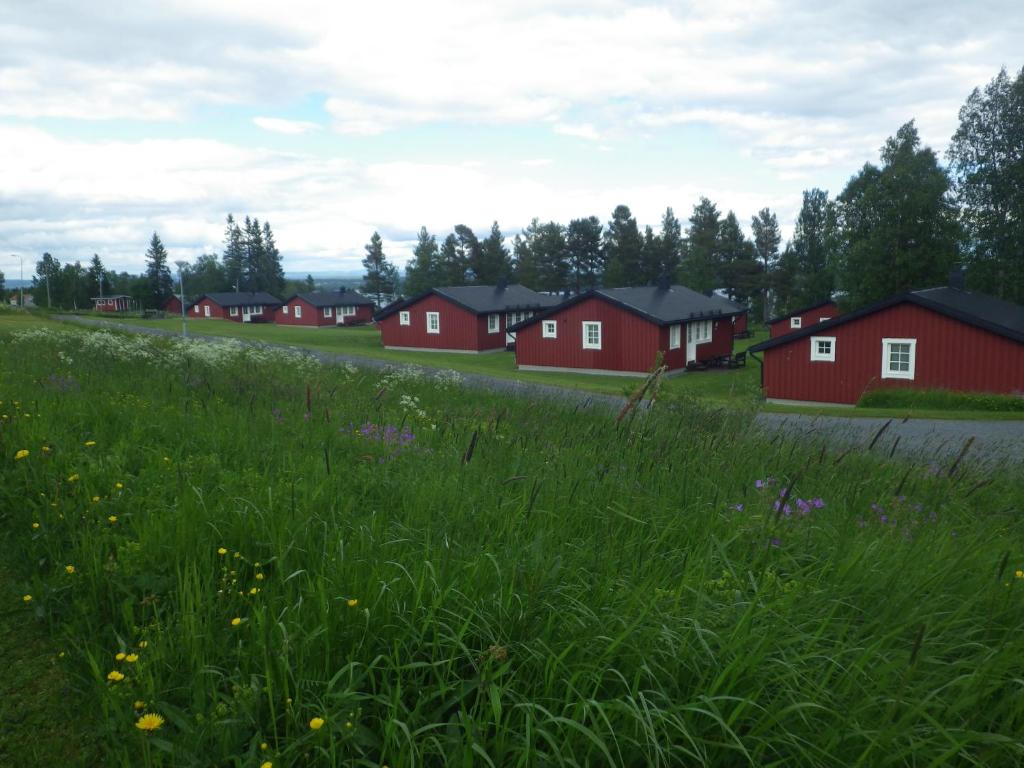 una fila de casas rojas en un campo de hierba en Ol-jons By, en Hallen