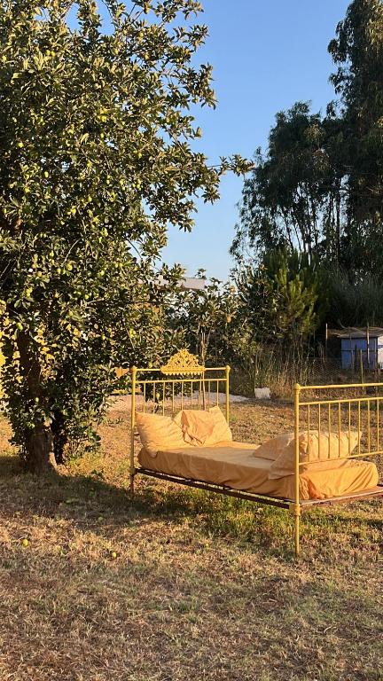 Fotografie z fotogalerie ubytování Quintal Alentejano v destinaci Fataca