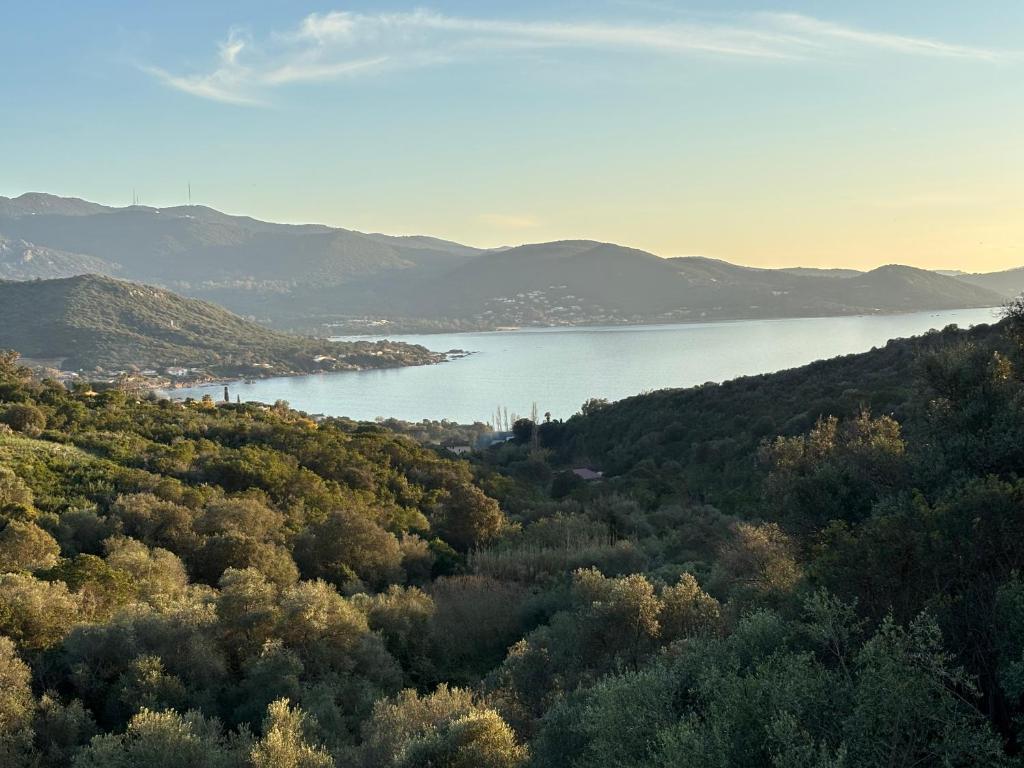 - une vue sur une grande étendue d'eau avec des arbres dans l'établissement Les Terrasses de Ruppione - Villa Restonica, à Pietrosella