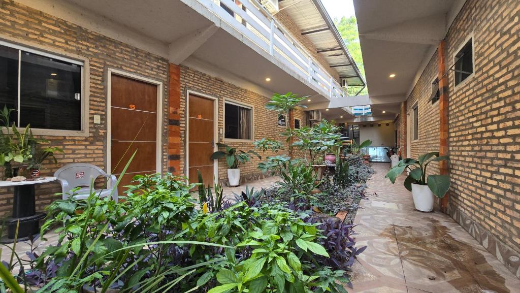Zahrada ubytování Hostal Fontana Di Luque