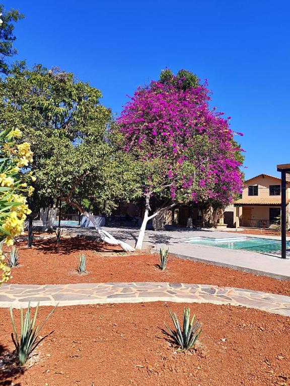 Hotel Cabañas de los Angeles