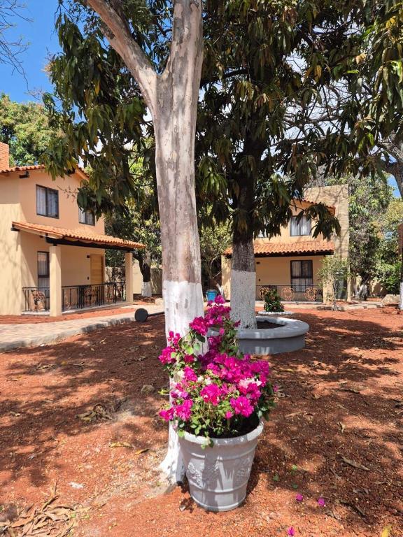 Hotel Cabañas de los Angeles