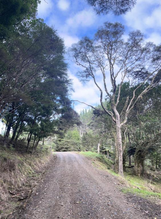 White Star Station Farm Holiday Park - Resim 36