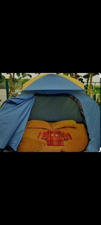 Fotografie z fotogalerie ubytování Honnavar Beach tent house stay v destinaci Haldipur