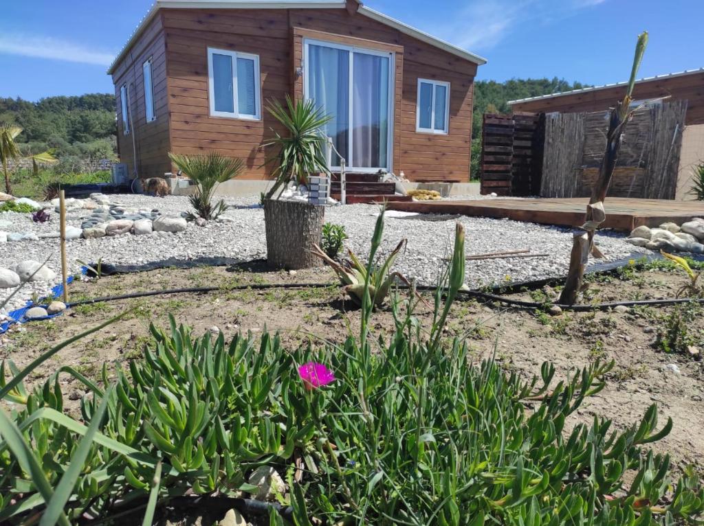 Zahrada ubytování Mountain View Bungalows Dimilia