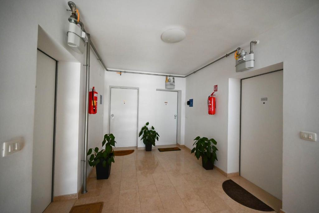Fotografie z fotogalerie ubytování Apartment Emma v Rovinji