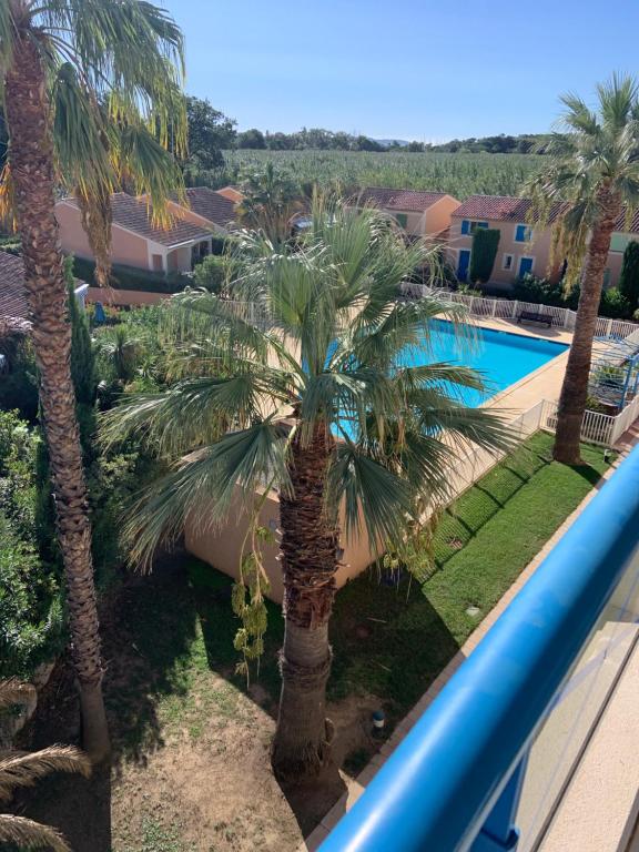 - une vue sur un palmier et une piscine dans l'établissement Les Anglade, au Lavandou