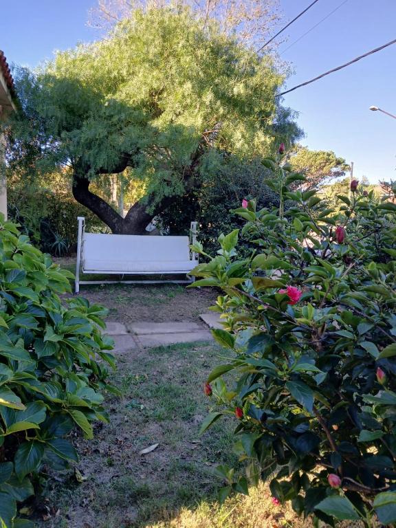 Jardín al aire libre en Piriápolis a 4 cuadras de playa,"Las Hortensias"