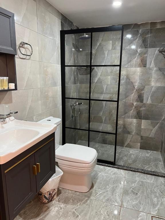 a bathroom with a shower and a toilet and a sink at ARIANA lUXURY BUBBLE CAMB in Wadi Rum