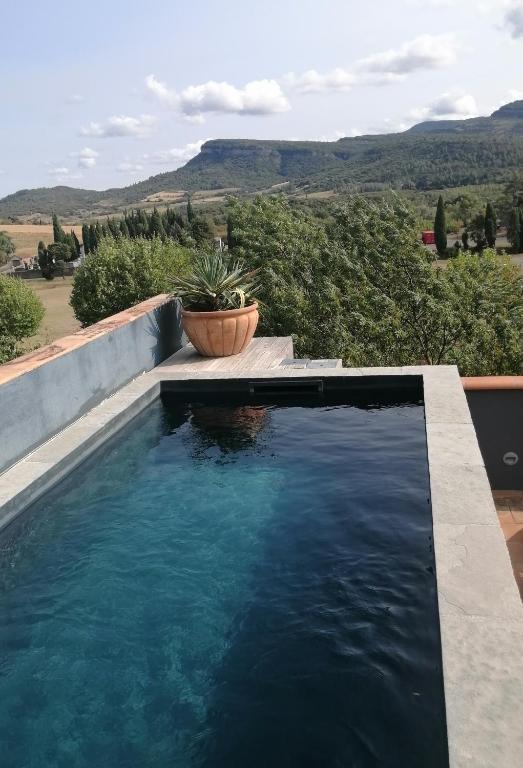 - une piscine avec une plante en pot à côté dans l'établissement Le Beau Coin, à Serviès-en-Val