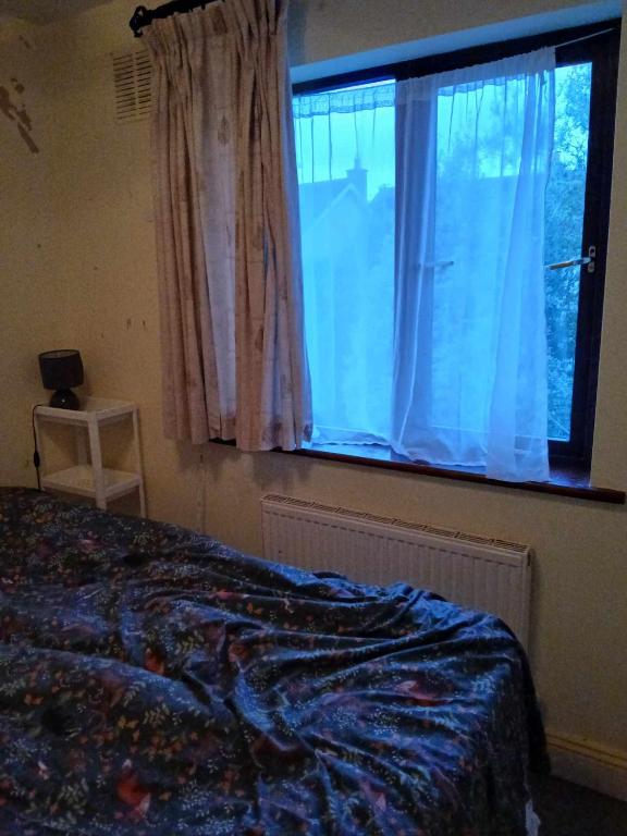 Fotografie z fotogalerie ubytování Waterford dream v destinaci Waterford