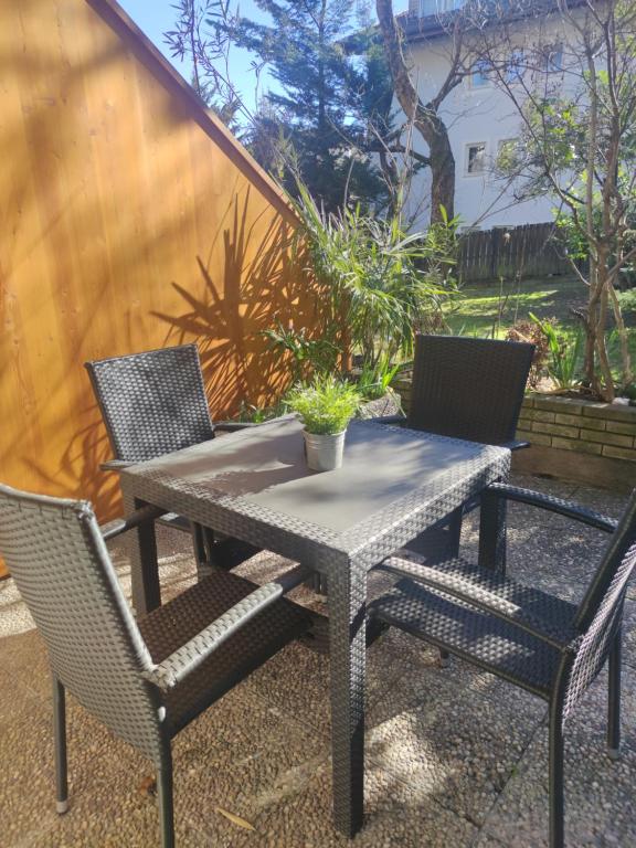 a patio table and chairs with a potted plant on it at Lovely Apartment with pool and garden in Marlengo