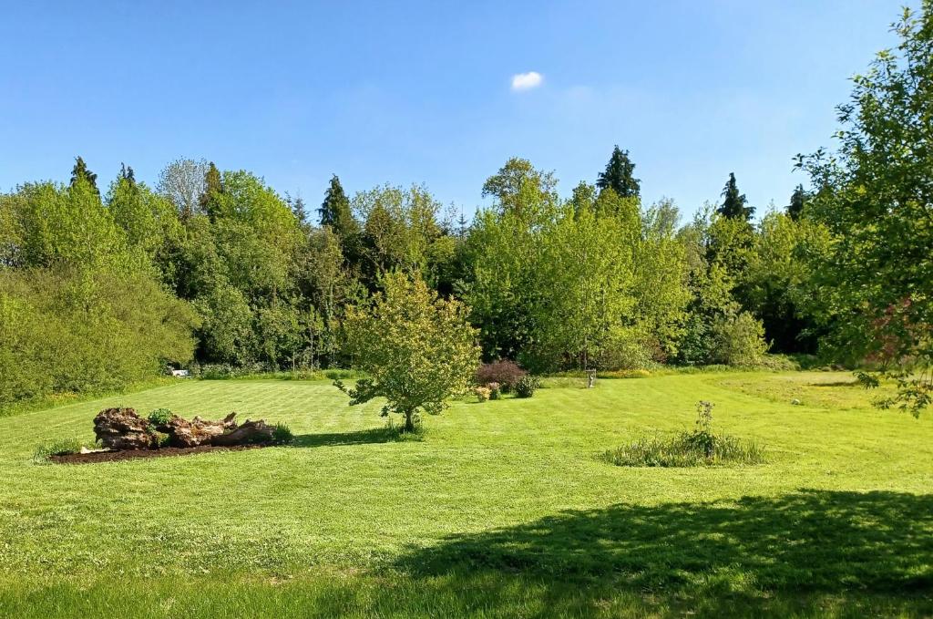 Zahrada ubytování Desart School Garden Chalet