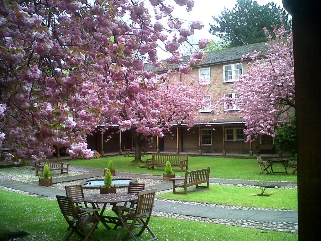 a park with picnic tables and a tree with pink flowers at Luther King House in Manchester