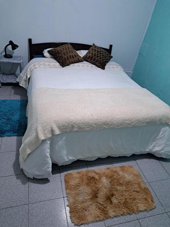 Postel nebo postele na pokoji v ubytování Hostal San Rafael Patagonia