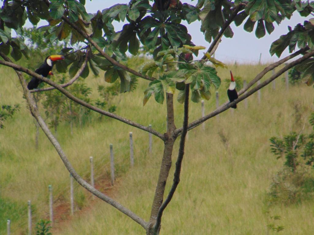  Pousada do Mendonça