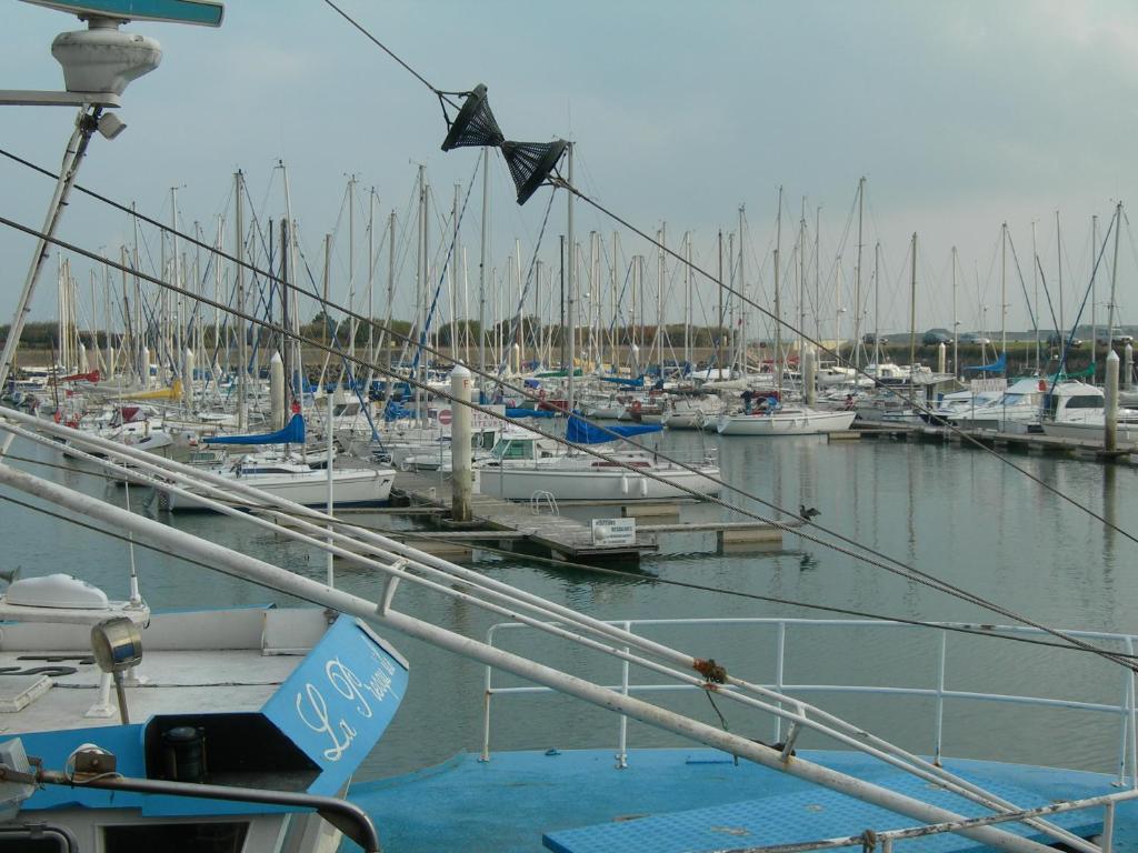 a kite flying over a marina with many boats at La Granitiere Maison de Charme in Saint-Vaast-la-Hougue