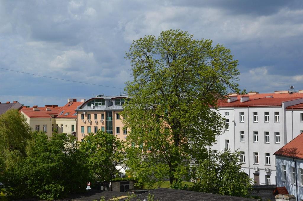 Pokoje Gościnne Centrum Kultury Prawosławnej - 13