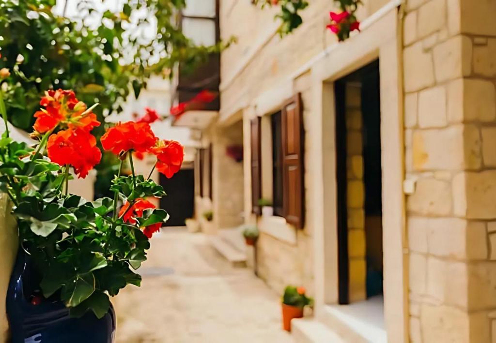 a vase filled with red flowers next to a building at Alayaz Hotel in Alaçatı