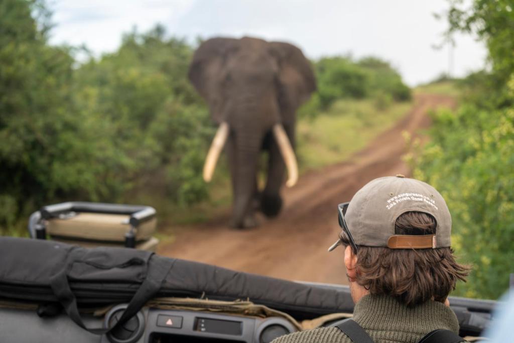 an elephant walking down a dirt road in front of a vehicle at Sungulwane Private Game Lodge in Hluhluwe