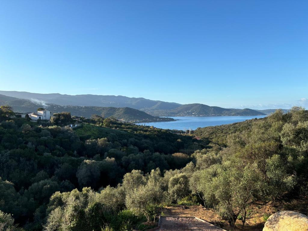 - une vue sur le lac depuis la montagne dans l'établissement Les Terrasses de Ruppione - Villa Scandola, à Pietrosella