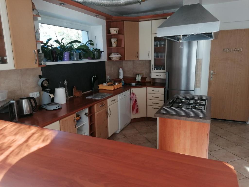Kuchyň nebo kuchyňský kout v ubytování Lukíno - apartmány