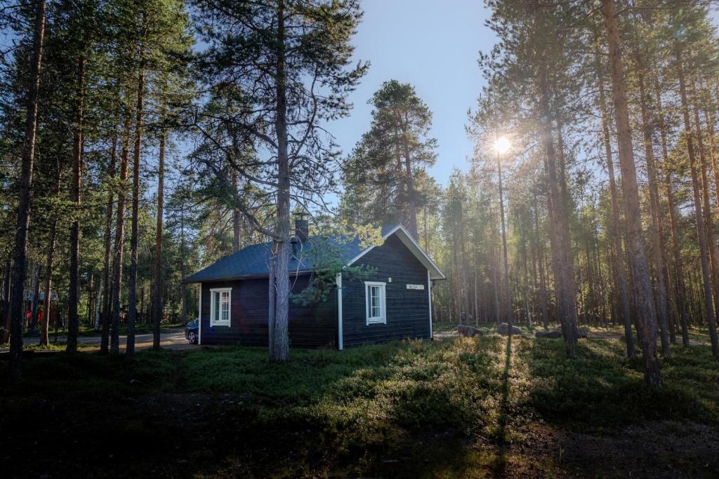 a small cabin in the middle of a forest at Wilderness Hotel Nellim & Igloos in Inari
