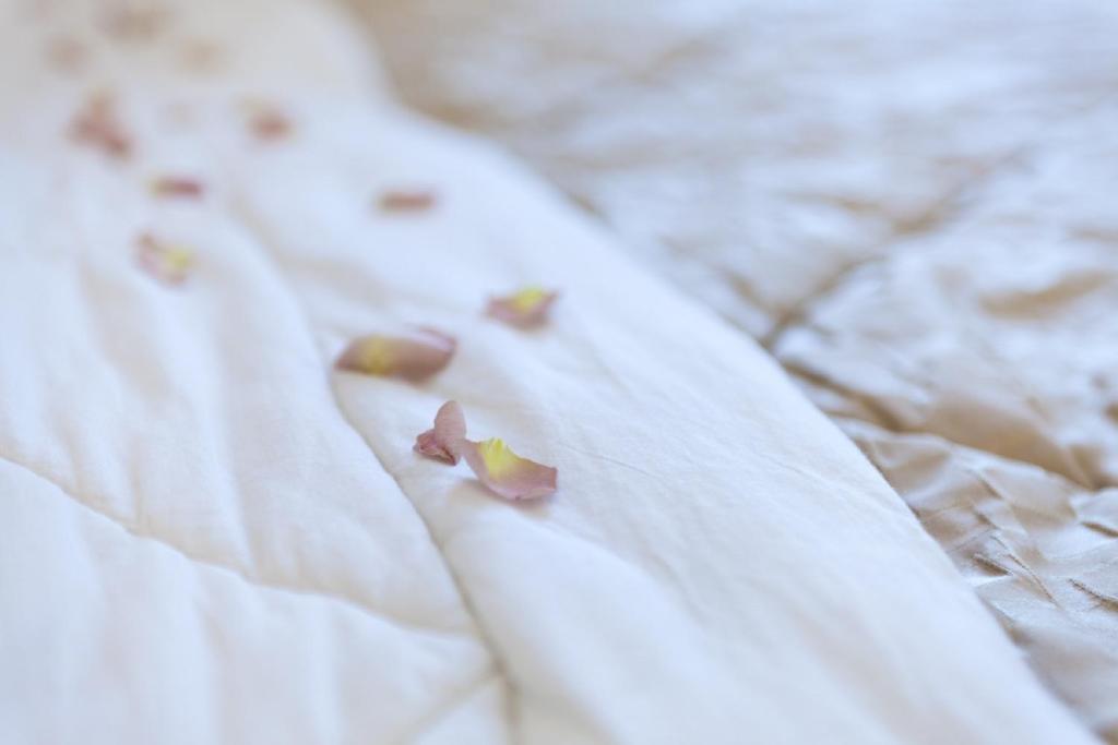 Palazzo dei Ciompi Suites - Resim 23