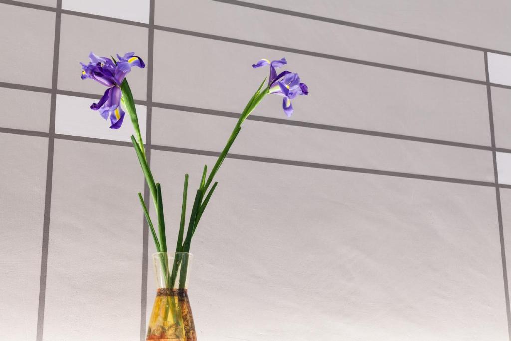 Palazzo dei Ciompi Suites - Resim 18