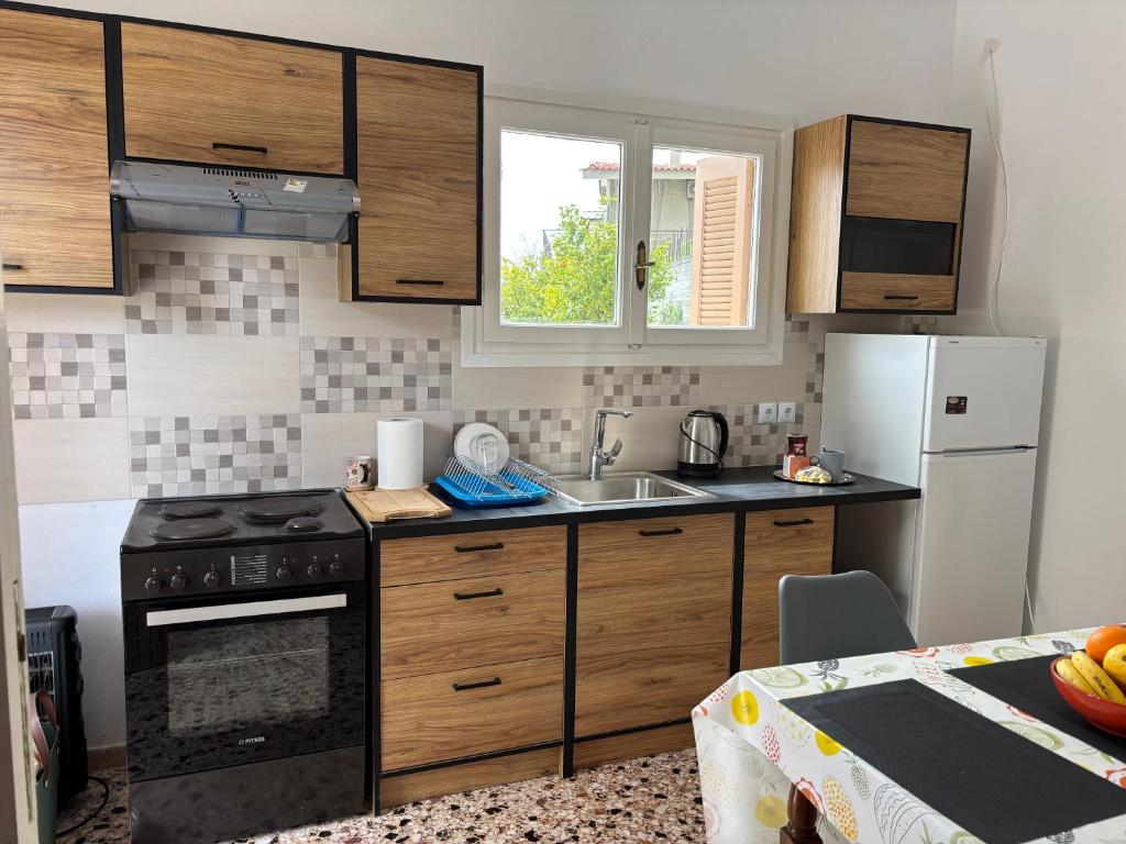 Kuchyň nebo kuchyňský kout v ubytování Aegean House