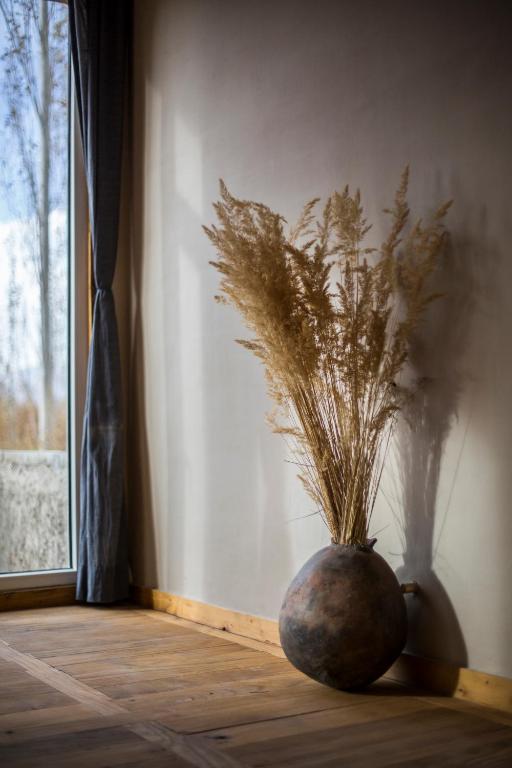 Fotografie z fotogalerie ubytování Shel v destinaci She
