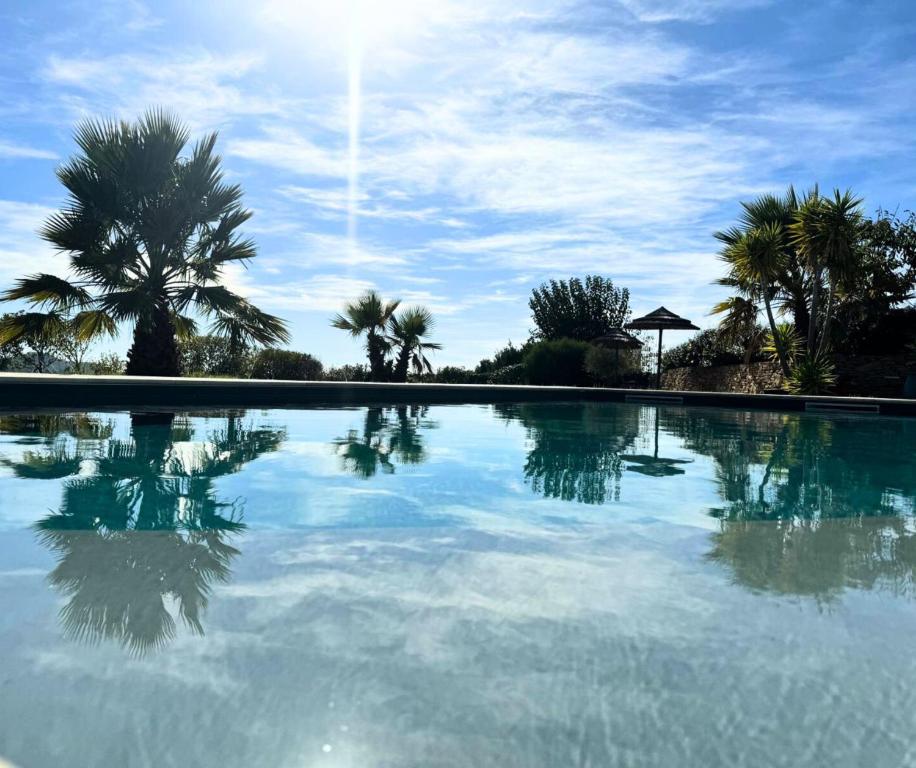 - une piscine avec des palmiers et le ciel dans l'établissement Villa La Cadière avec piscine, à Laouque