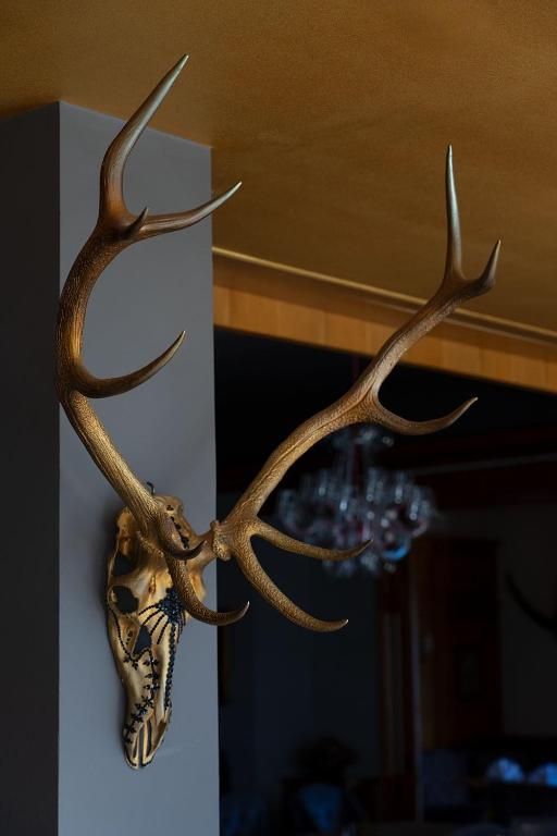 Fotografie z fotogalerie ubytování WILDAUERS Haidenhof STAY & SLEEP v destinaci Lienz