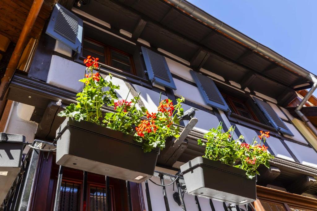 Ide'Alsace – photo 24