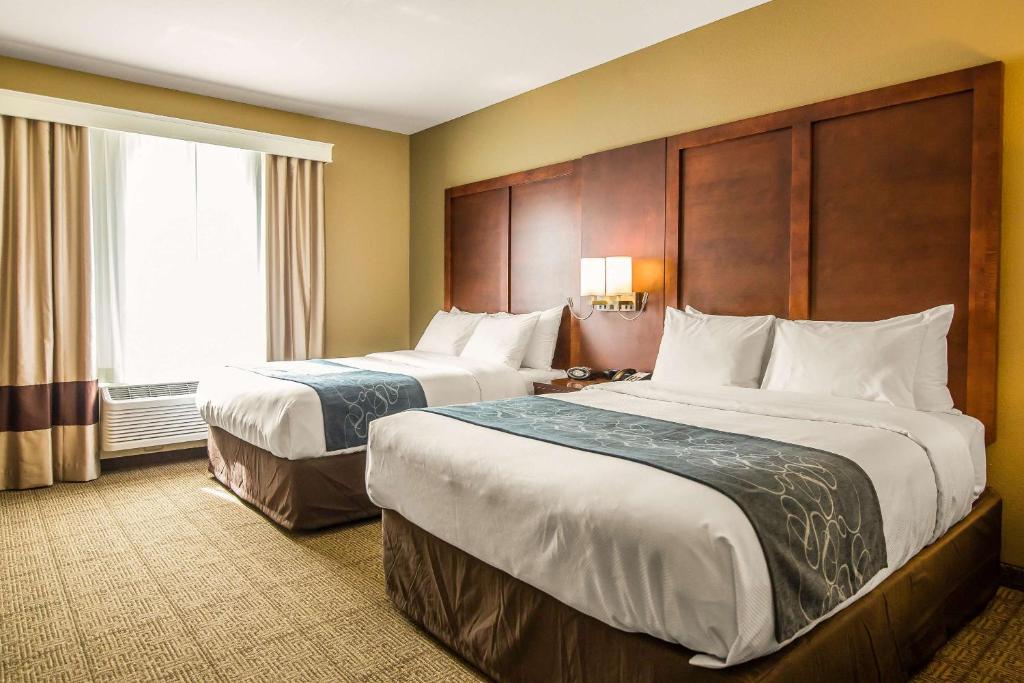 Comfort Suites Dodge City - 大号床套房 - 带沙发床