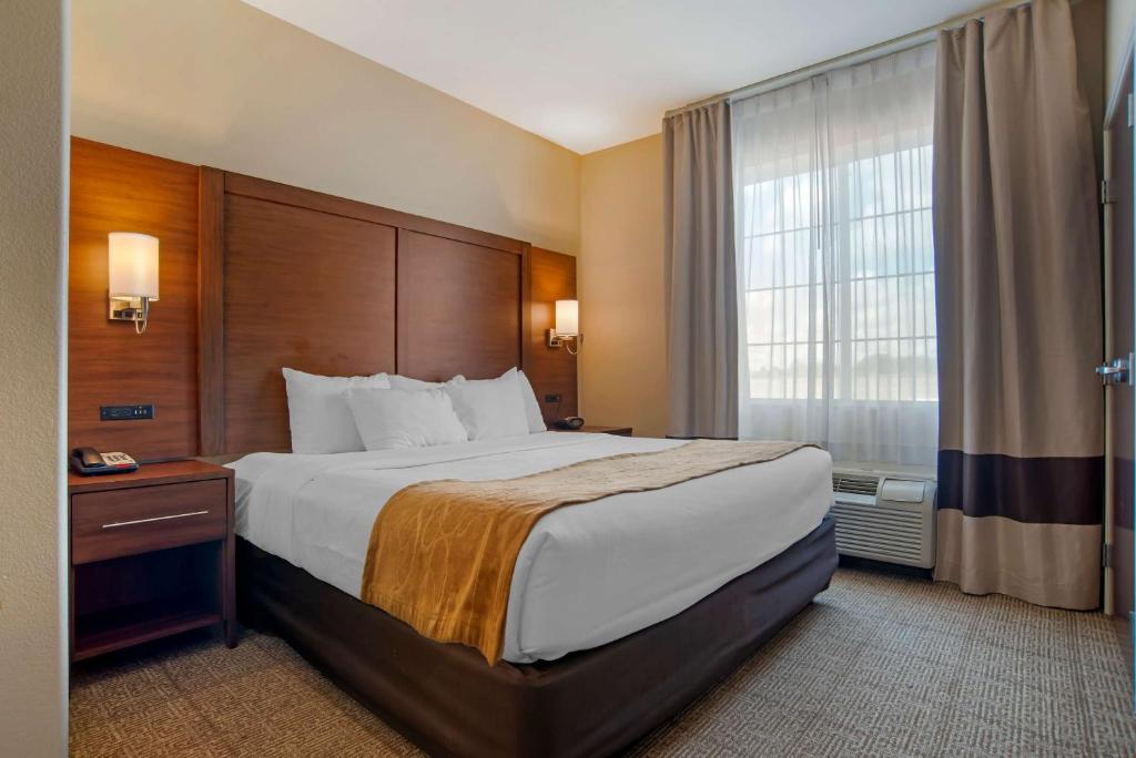 Comfort Suites Alexandria North - Suite King Piano Terra - Non Fumatori