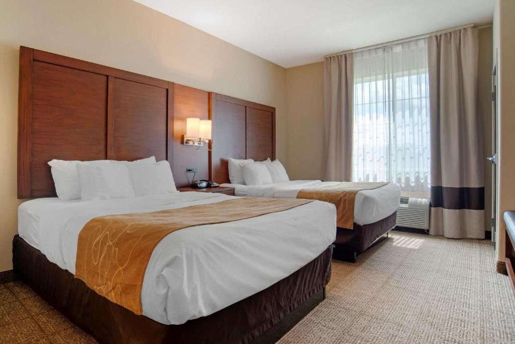 Comfort Suites Alexandria North - Camera Queen Con 2 Letti Queen-Size - Non Fumatori